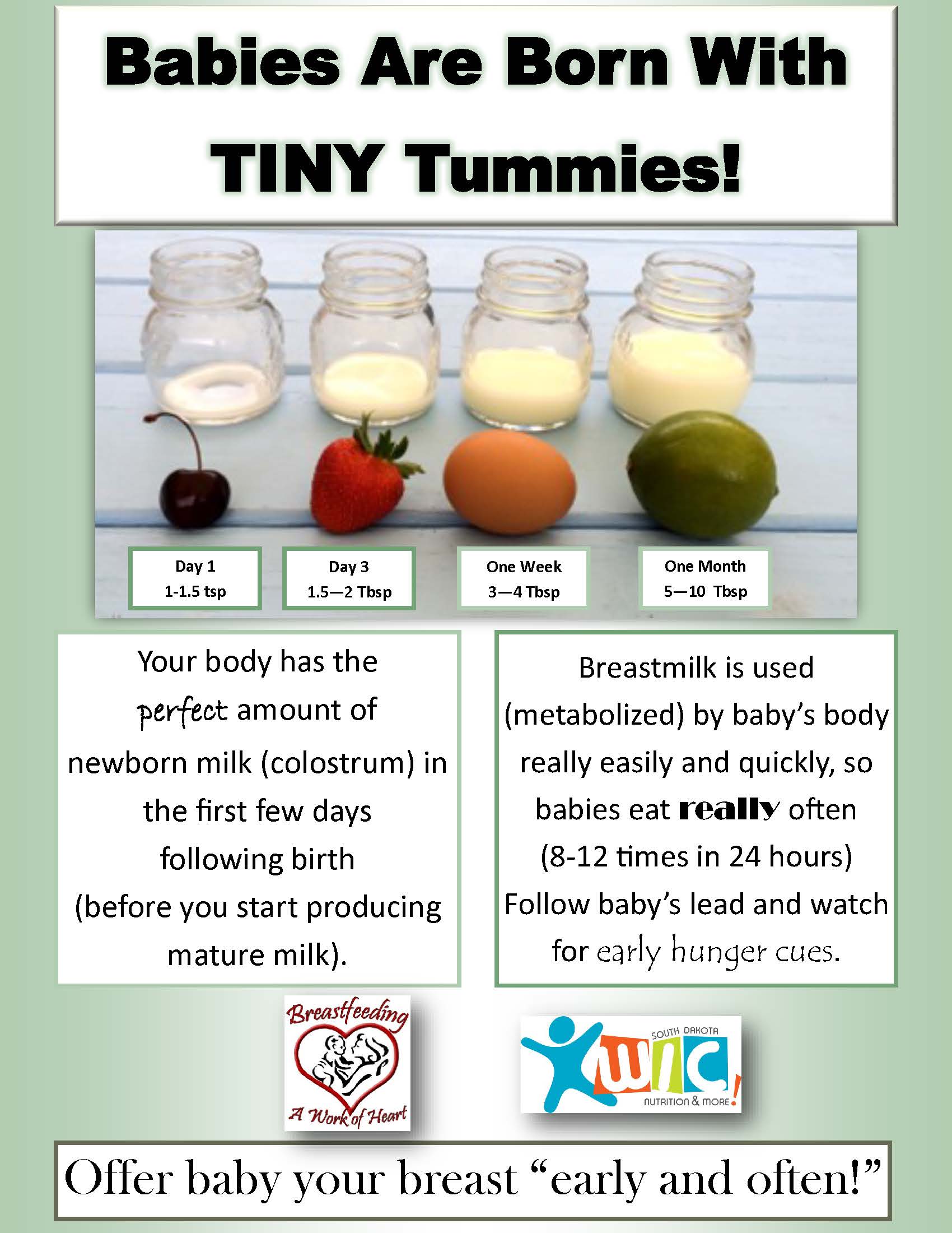 Babies are Born with TINY Tummies.jpg