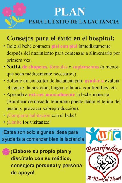 Plan For Breastfeeding Success_SPL.jpg