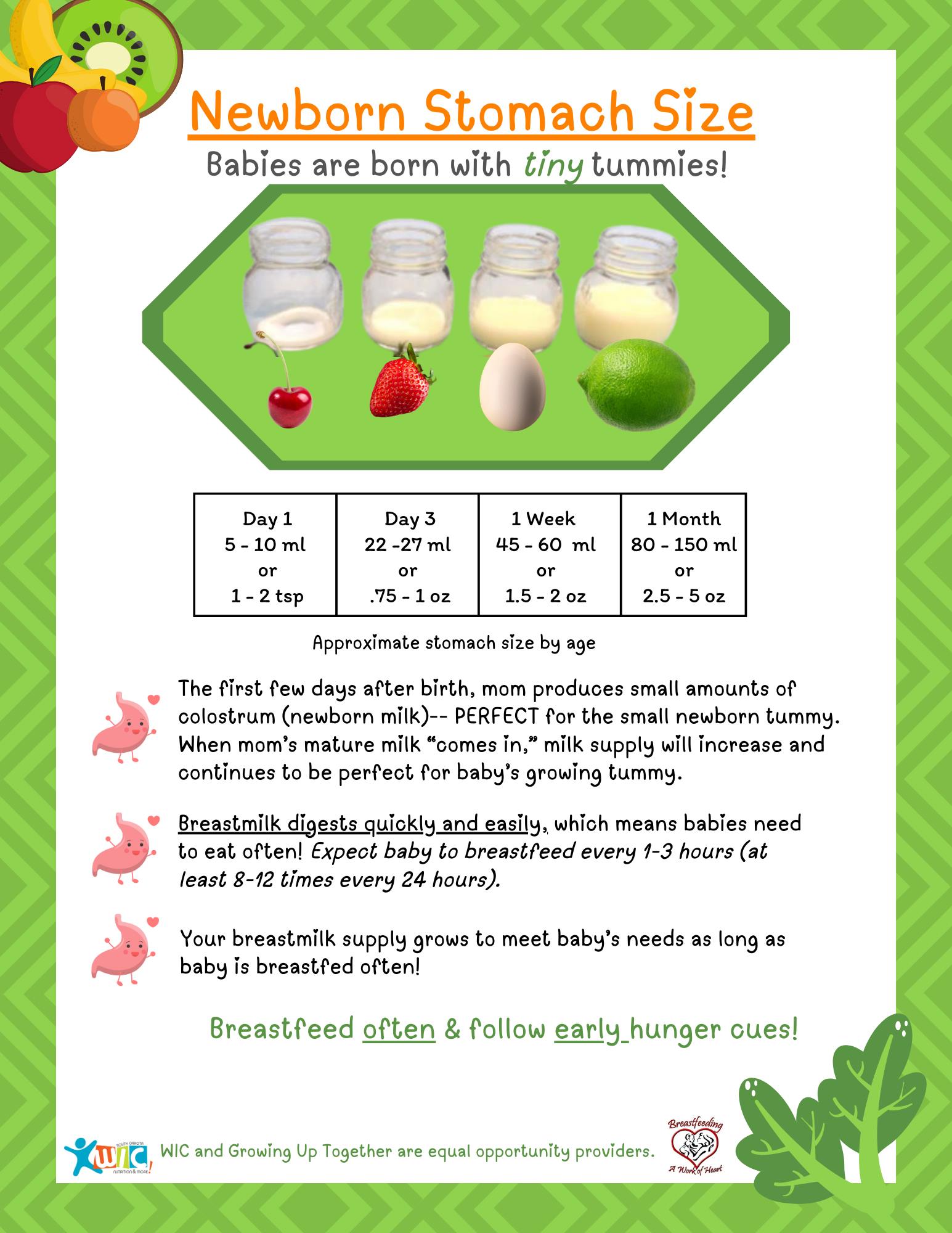 4 - 2 & 10 - 4 Newborn Stomach Size.jpg