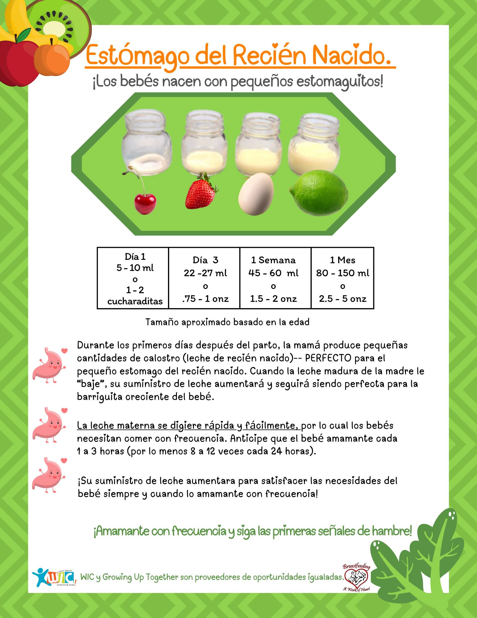 4 - 2 & 10 - 4 Newborn Stomach Size_SPL.jpg