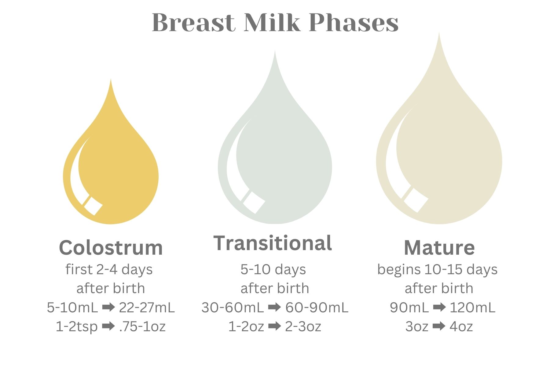 Breast Milk Phases (2).jpg