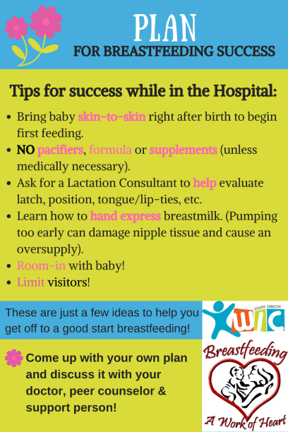 Plan_For_Breastfeeding_Success.png